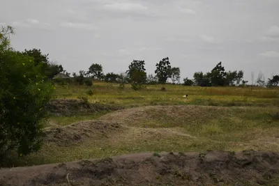 DSC_3084 (Large).JPG